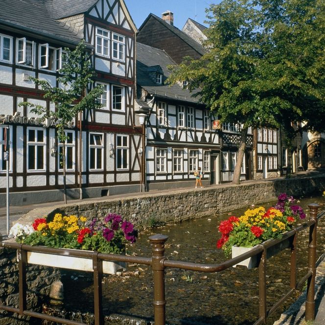 GOSLAR marketing gmbh - Abzucht