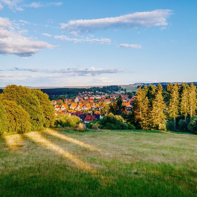 Braunlage Tourismus Marketing - Blick über Braunlage