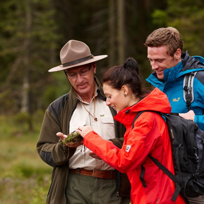 Ohne Moos nix los! Der Ranger vom Nationalpark Harz erklärt den Wanderern warum das Moos so wichtig für einen intakten Wald ist.